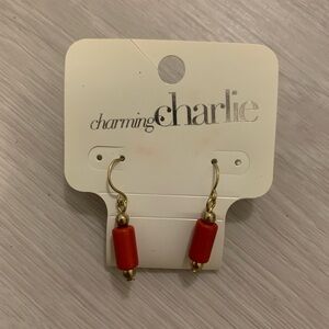 Earrings jewelry